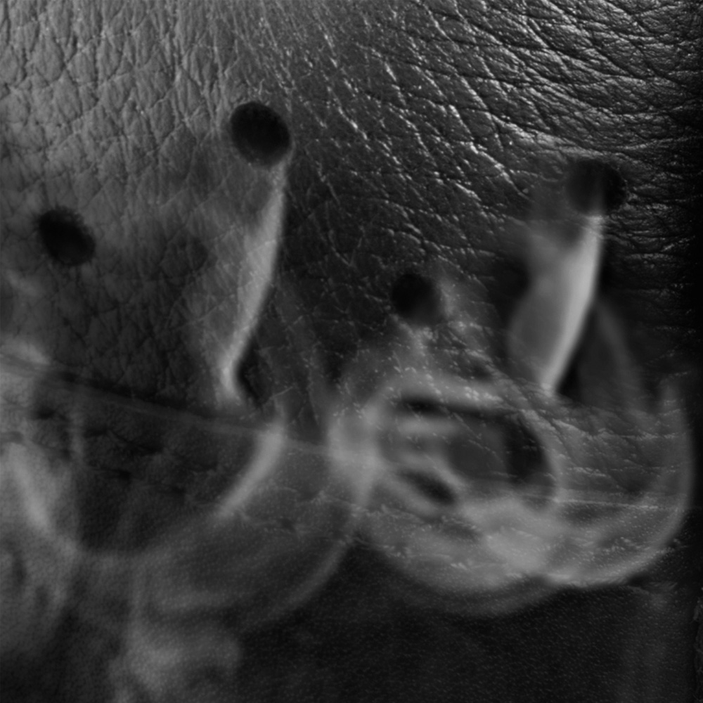 610030_black_eagle_safety_56_mid_climate 610030_black_eagle_safety_56_mid_climate