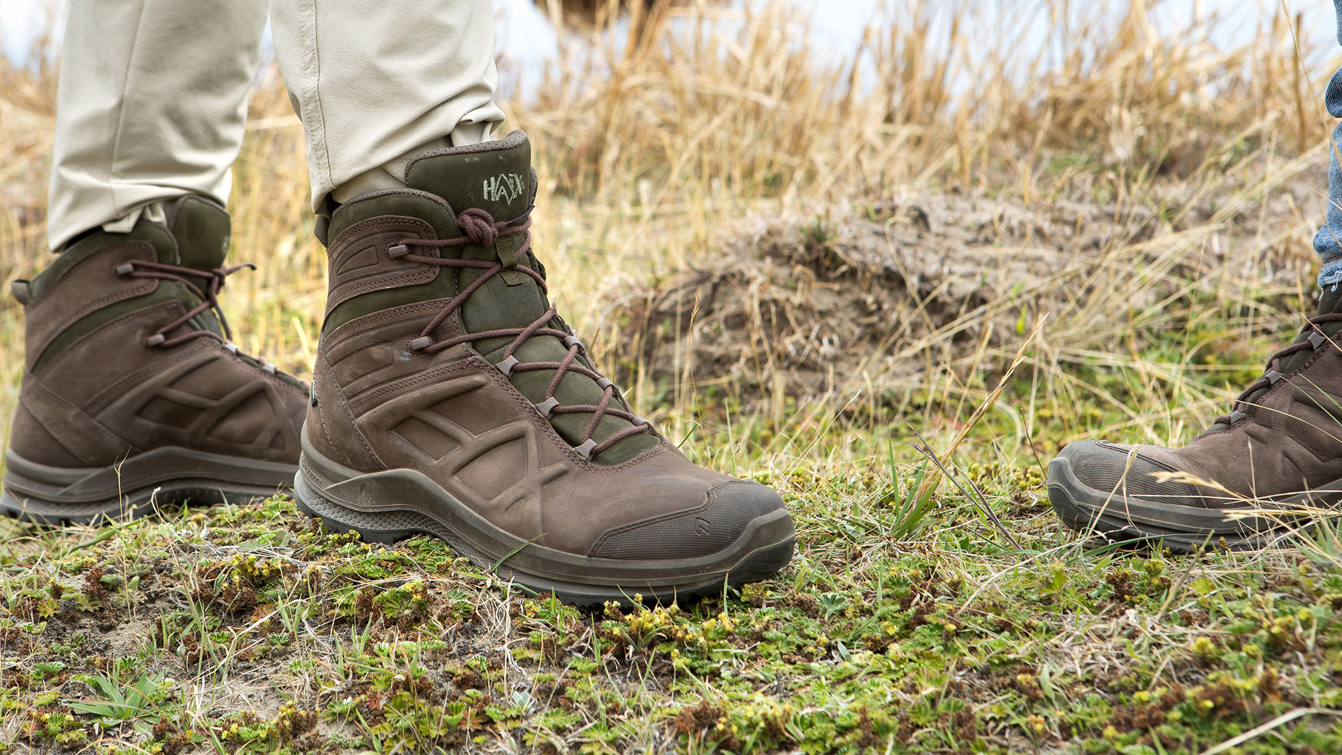 340016_black-eagle-nature-mid