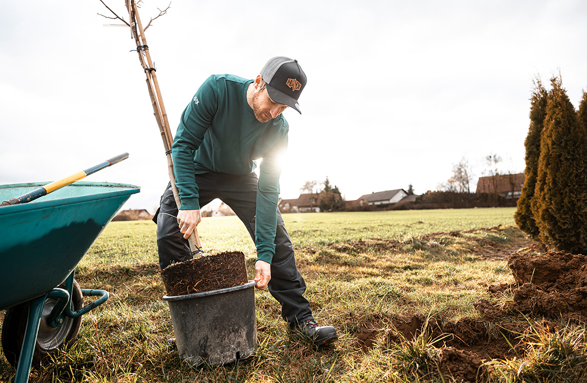 Gardening & Landscaping